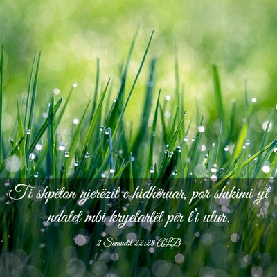 Picture 03 - 2 Samuelit 22:28 ALB - Ti shpëton njerëzit e hidhëruar, por shikimi - Bible Verse Picture