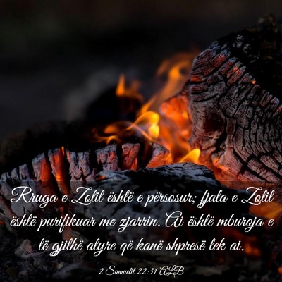 Picture 03 - 2 Samuelit 22:31 ALB - Rruga e Zotit është e përsosur; fjala e Zotit - Bible Verse Picture