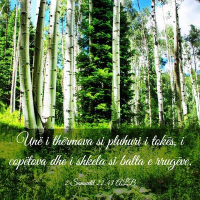 Picture 03 - 2 Samuelit 22:43 ALB - Unë i thërmova si pluhuri i tokës, i copëtova - Bible Verse Picture