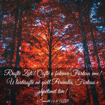 Picture 03 - 2 Samuelit 22:47 ALB - Rroftë Zoti! Qoftë e bekuar Fortesa ime! U - Bible Verse Picture
