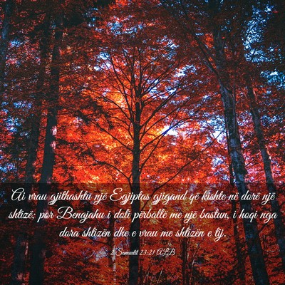 Picture 03 - 2 Samuelit 23:21 ALB - Ai vrau gjithashtu një Egjiptas gjigand që - Bible Verse Picture