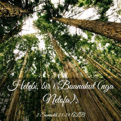Picture 03 - 2 Samuelit 23:29 ALB - Helebi, bir i Baanahut (nga - Bible Verse Picture