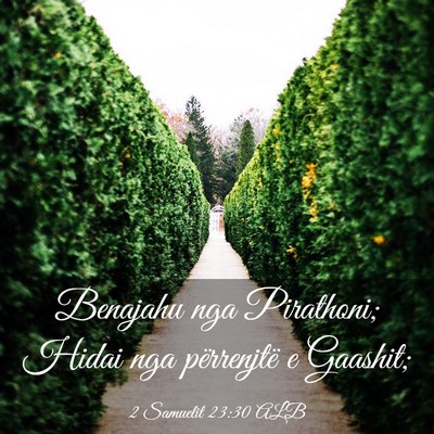 Picture 03 - 2 Samuelit 23:30 ALB - Benajahu nga Pirathoni; Hidai nga përrenjtë e - Bible Verse Picture