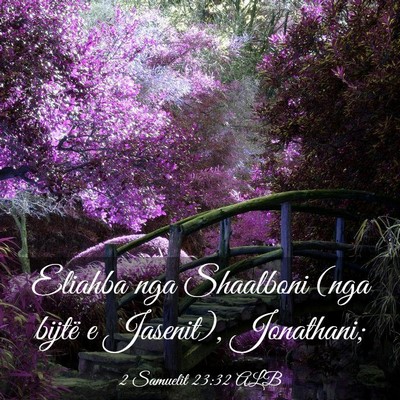 Picture 03 - 2 Samuelit 23:32 ALB - Eliahba nga Shaalboni (nga bijtë e Jasenit), - Bible Verse Picture