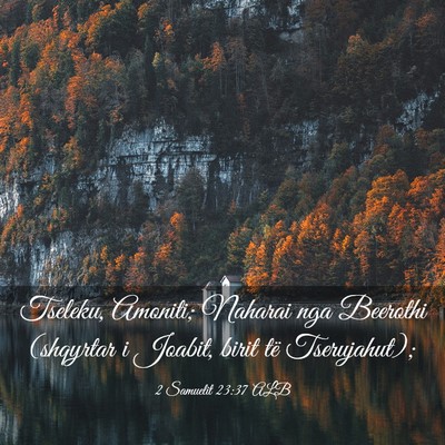 Picture 03 - 2 Samuelit 23:37 ALB - Tseleku, Amoniti; Naharai nga Beerothi (shqyrtar - Bible Verse Picture