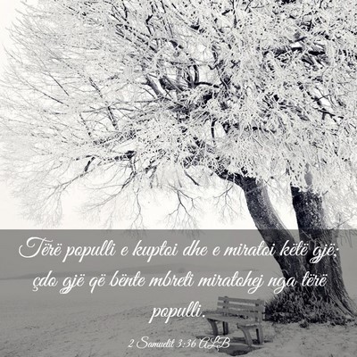 Picture 03 - 2 Samuelit 3:36 ALB - Tërë populli e kuptoi dhe e miratoi këtë - Bible Verse Picture