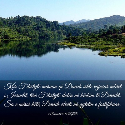Picture 03 - 2 Samuelit 5:17 ALB - Kur Filistejtë mësuan që Davidi ishte vajosur - Bible Verse Picture