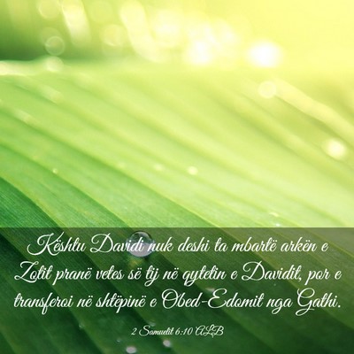 Picture 03 - 2 Samuelit 6:10 ALB - Kështu Davidi nuk deshi ta mbartë arkën e - Bible Verse Picture
