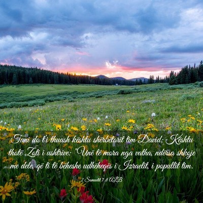 Picture 03 - 2 Samuelit 7:8 ALB - Tani do t’i thuash kështu shërbëtorit tim - Bible Verse Picture