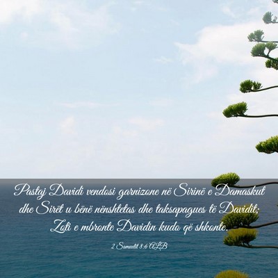 Picture 03 - 2 Samuelit 8:6 ALB - Pastaj Davidi vendosi garnizone në Sirinë e - Bible Verse Picture