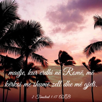 Picture 03 - 2 Timoteut 1:17 ALB - madje, kur erdhi në Romë, më kërkoi me shumë - Bible Verse Picture