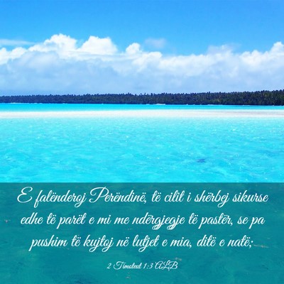 Picture 03 - 2 Timoteut 1:3 ALB - E falënderoj Perëndinë, të cilit i shërbej - Bible Verse Picture