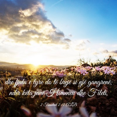 Picture 03 - 2 Timoteut 2:17 ALB - dhe fjala e tyre do të brejë si një gangrenë; - Bible Verse Picture