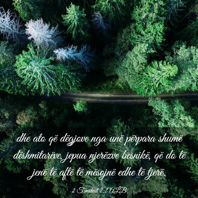 Picture 03 - 2 Timoteut 2:2 ALB - dhe ato që dëgjove nga unë përpara shumë - Bible Verse Picture