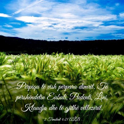 Picture 03 - 2 Timoteut 4:21 ALB - Përpiqu të vish përpara dimrit. Të - Bible Verse Picture