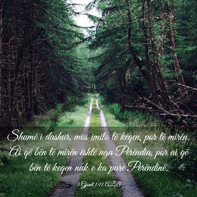 Picture 03 - 3 Gjonit 1:11 ALB - Shumë i dashur, mos imito të keqen, por të - Bible Verse Picture