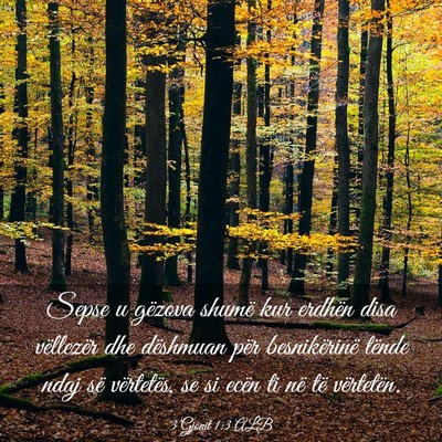 Picture 03 - 3 Gjonit 1:3 ALB - Sepse u gëzova shumë kur erdhën disa - Bible Verse Picture