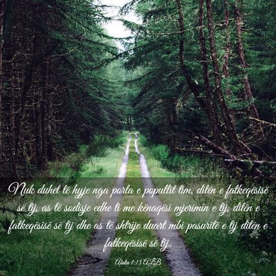 Picture 03 - Abdia 1:13 ALB - Nuk duhet të hyje nga porta e popullit tim, - Bible Verse Picture