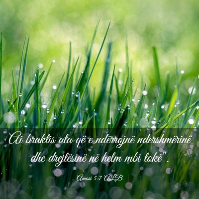 Picture 03 - Amosi 5:7 ALB - Ai braktis ata që e ndërrojnë ndershmërinë - Bible Verse Picture
