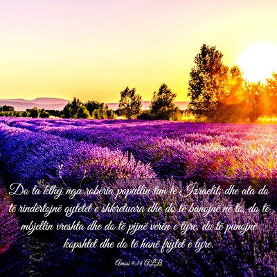 Picture 03 - Amosi 9:14 ALB - Do ta kthej nga robëria popullin tim të - Bible Verse Picture