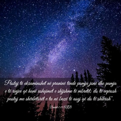 Picture 03 - Danieli 1:13 ALB - Pastaj të ekzaminohet në praninë tënde pamja - Bible Verse Picture