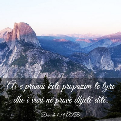 Picture 03 - Danieli 1:14 ALB - Ai e pranoi këtë propozim të tyre dhe i vuri - Bible Verse Picture