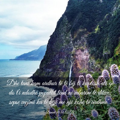 Picture 03 - Danieli 10:14 ALB - Dhe tani kam ardhur të të bëj të kuptosh atë - Bible Verse Picture