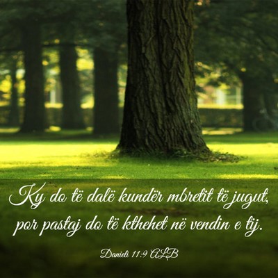 Picture 03 - Danieli 11:9 ALB - Ky do të dalë kundër mbretit të jugut, por - Bible Verse Picture