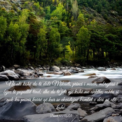 Picture 03 - Danieli 12:1 ALB - 
