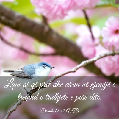Picture 03 - Danieli 12:12 ALB - Lum ai që pret dhe arrin në njëmijë e treqind - Bible Verse Picture