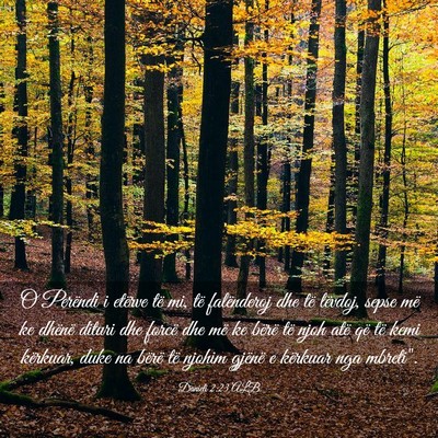 Picture 03 - Danieli 2:23 ALB - O Perëndi i etërve të mi, të falënderoj dhe - Bible Verse Picture