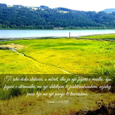 Picture 03 - Danieli 2:31 ALB - Ti ishe duke shikuar, o mbret, dhe ja një - Bible Verse Picture