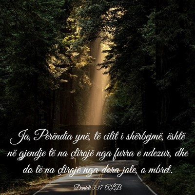 Picture 03 - Danieli 3:17 ALB - Ja, Perëndia ynë, të cilit i shërbejmë, - Bible Verse Picture