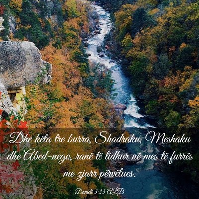 Picture 03 - Danieli 3:23 ALB - Dhe këta tre burra, Shadraku, Meshaku dhe - Bible Verse Picture