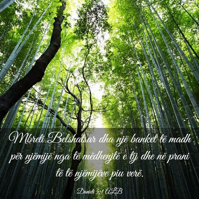 Picture 03 - Danieli 5:1 ALB - Mbreti Belshatsar dha një banket të madh për - Bible Verse Picture