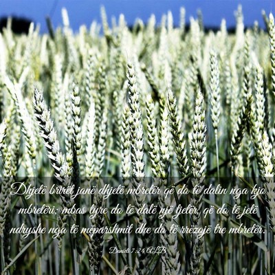Picture 03 - Danieli 7:24 ALB - Dhjetë brirët janë dhjetë mbretër që do të - Bible Verse Picture
