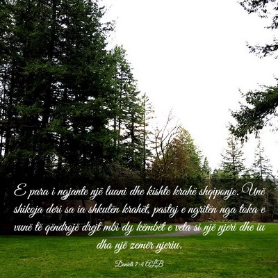 Picture 03 - Danieli 7:4 ALB - E para i ngjante një luani dhe kishte krahë - Bible Verse Picture