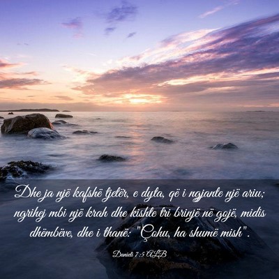 Picture 03 - Danieli 7:5 ALB - Dhe ja një kafshë tjetër, e dyta, që i - Bible Verse Picture