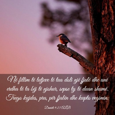 Picture 03 - Danieli 9:23 ALB - Në fillim të lutjeve të tua doli një fjalë - Bible Verse Picture