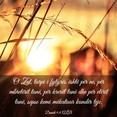 Picture 03 - Danieli 9:8 ALB - O Zot, turpi i fytyrës është për ne, për - Bible Verse Picture