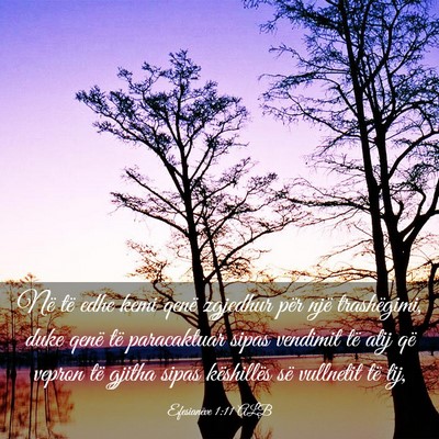 Picture 03 - Efesianëve 1:11 ALB - Në të edhe kemi qenë zgjedhur për një - Bible Verse Picture