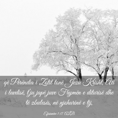 Picture 03 - Efesianëve 1:17 ALB - që Perëndia i Zotit tonë Jezu Krisht, Ati i - Bible Verse Picture