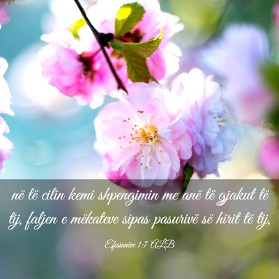 Picture 03 - Efesianëve 1:7 ALB - në të cilin kemi shpengimin me anë të gjakut - Bible Verse Picture