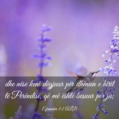 Picture 03 - Efesianëve 3:2 ALB - dhe nëse keni dëgjuar për dhënien e hirit të - Bible Verse Picture