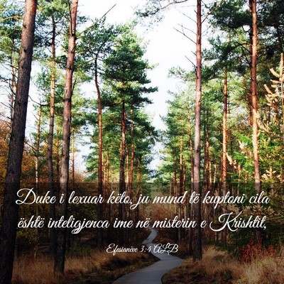 Picture 03 - Efesianëve 3:4 ALB - Duke i lexuar këto, ju mund të kuptoni cila - Bible Verse Picture