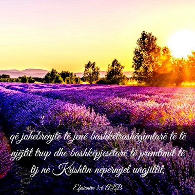 Picture 03 - Efesianëve 3:6 ALB - që johebrenjtë të jenë bashkëtrashëgimtarë - Bible Verse Picture
