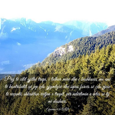 Picture 03 - Efesianëve 4:16 ALB - Prej të cilit gjithë trupi, i lidhur mirë dhe - Bible Verse Picture