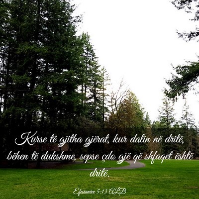 Picture 03 - Efesianëve 5:13 ALB - Kurse të gjitha gjërat, kur dalin në dritë, - Bible Verse Picture