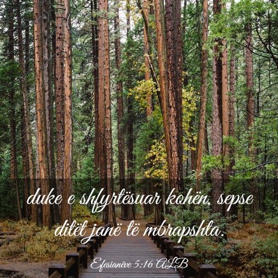 Picture 03 - Efesianëve 5:16 ALB - duke e shfyrtësuar kohën, sepse ditët janë - Bible Verse Picture