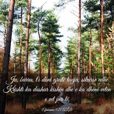 Picture 03 - Efesianëve 5:25 ALB - Ju, burra, t’i doni gratë tuaja, sikurse edhe - Bible Verse Picture